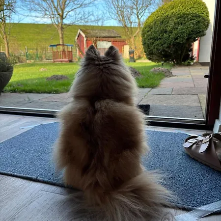 Am Deich בית נופש בוסום